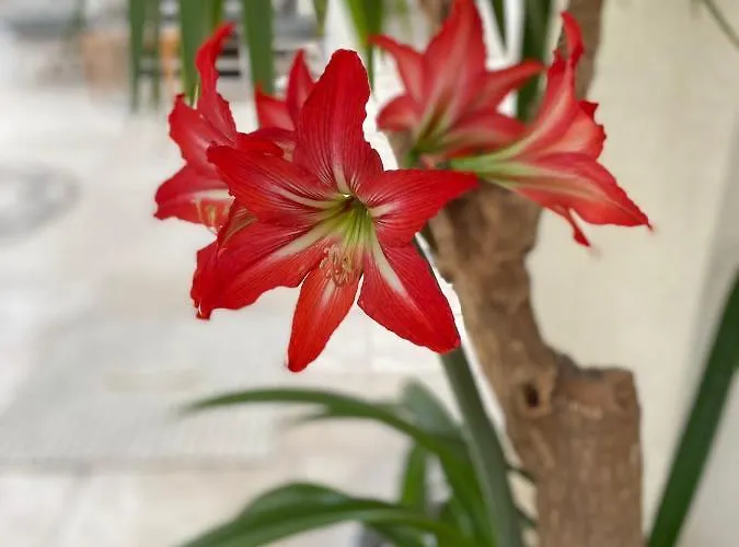 Apart-hotel Karayel Apart