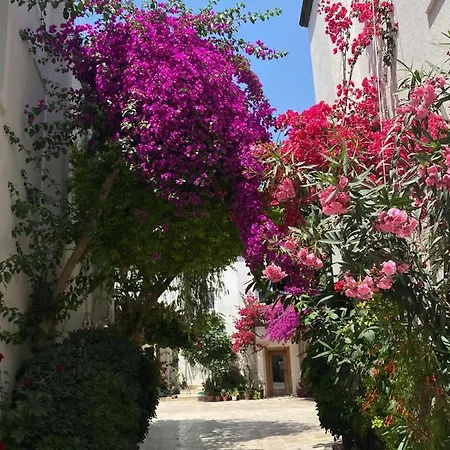 Lejlighedshotel Karayel Apart *