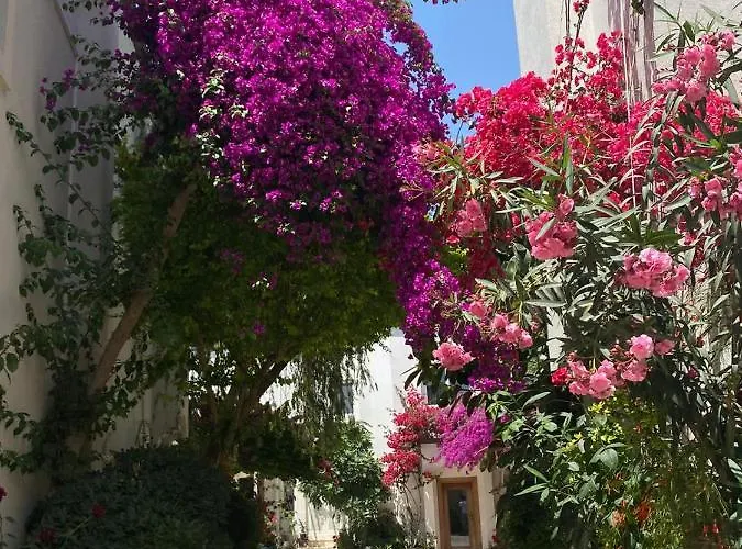 Aparthotel Karayel Apart *