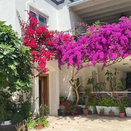 Aparthotel Karayel Apart Bodrum